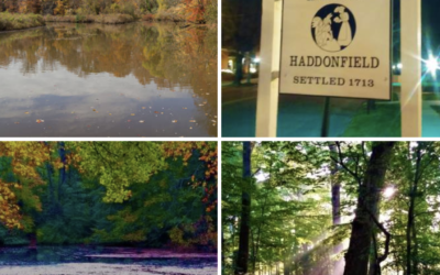 Estate Sales in Haddonfield, NJ: What to Expect and How to Find Them